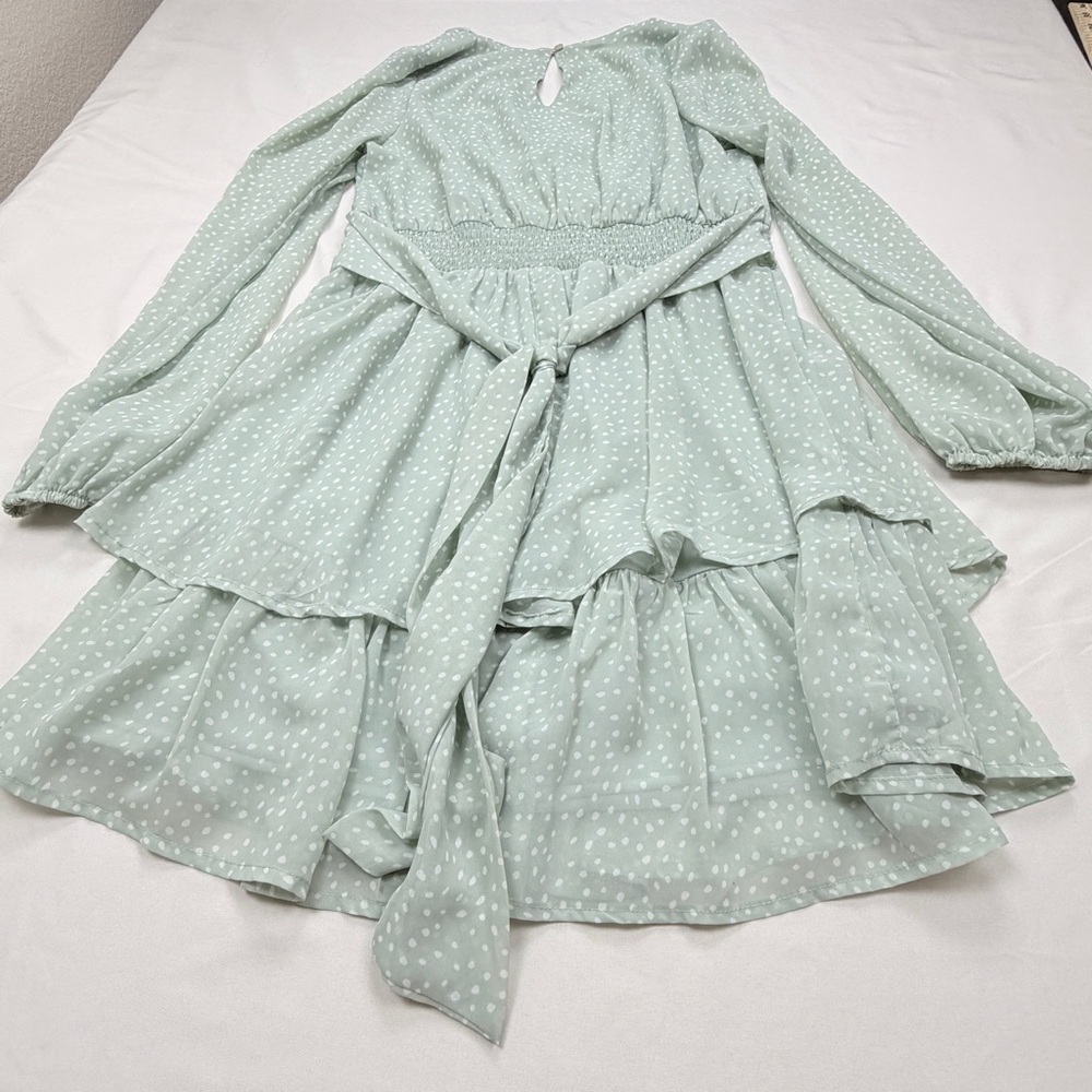 Japna Light Green Long Sleeve Dress - Picture 4 of 14